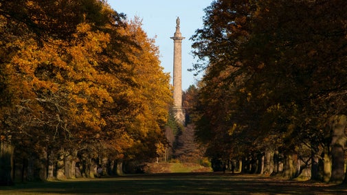 Gibside Column to Liberty in autumn